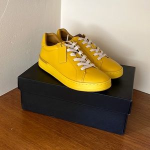 COACH SHOES (lowline luxe low tops)